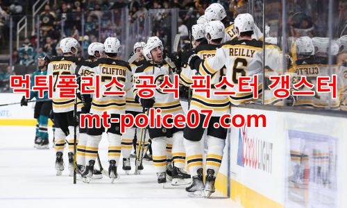 보스턴 브루인스 7