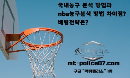 nba농구분석