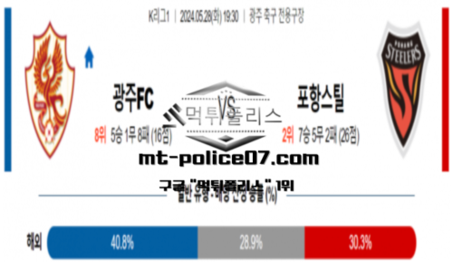 스포츠 분석