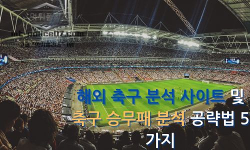 해외 축구 분석 사이트