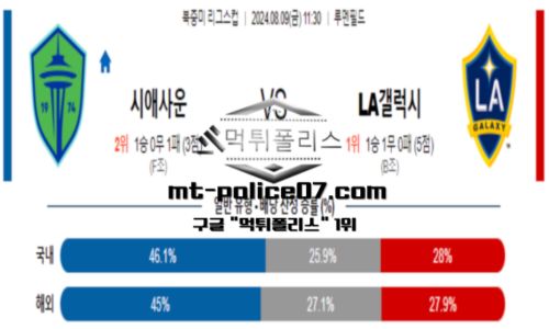 스포츠 픽