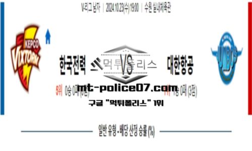 스포츠 픽