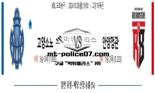 스포츠 픽