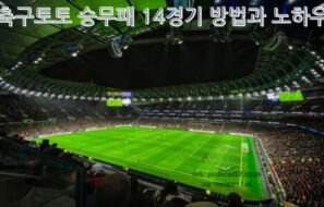 축구토토 승무패 14경기 방법과 노하우