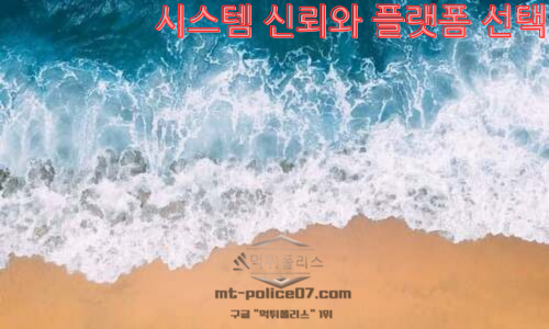 시스템 신뢰